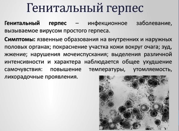 Симптомы генитального герпеса Генитальный герпес