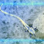 иммунологическое бесплодие