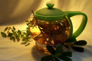 Целебный настой Рецепт приготовления спорыша для зачатия