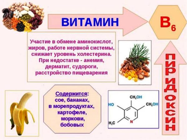 Витамин В6 Витамин В6 при планировании беременности
