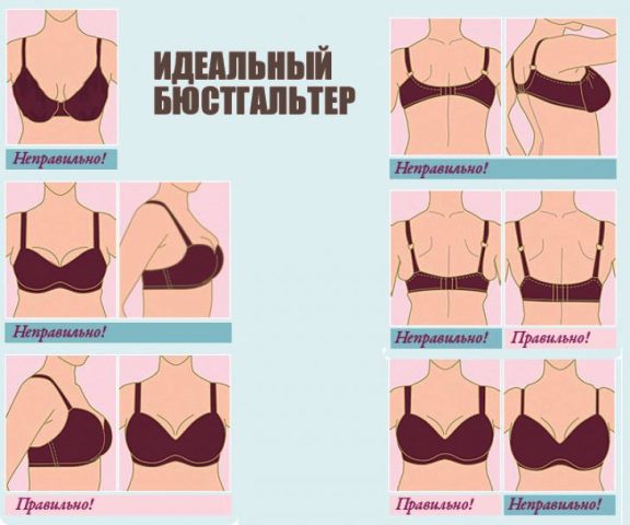 Как выбрать бюстгальтер Выбор бюстгальтера