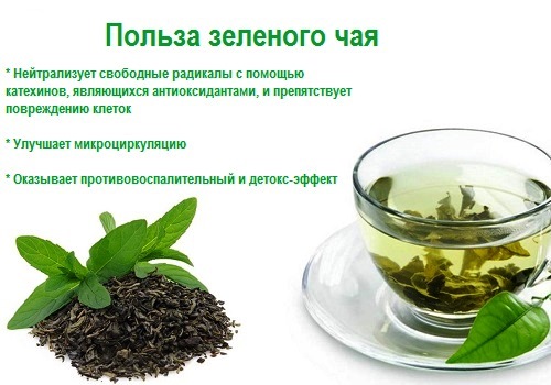 Зеленый чай Польза зеленого чая