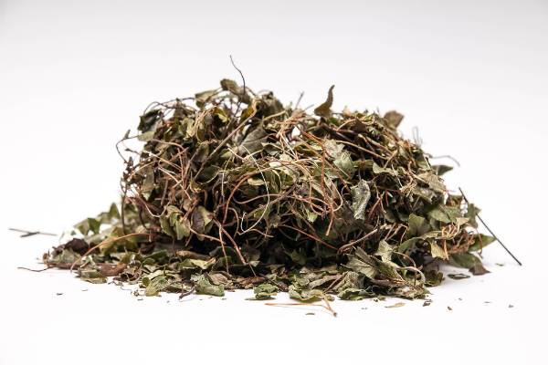 высушенная трава