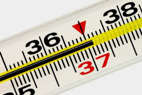 на градуснике жар