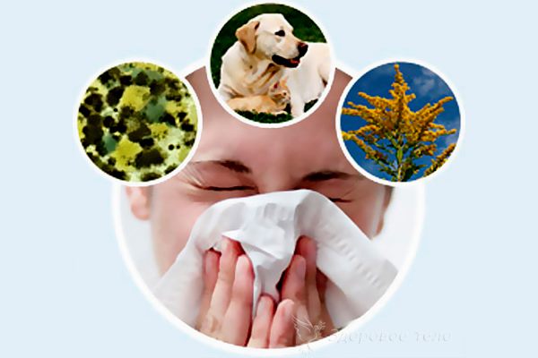 девушка сморкается от аллергенов