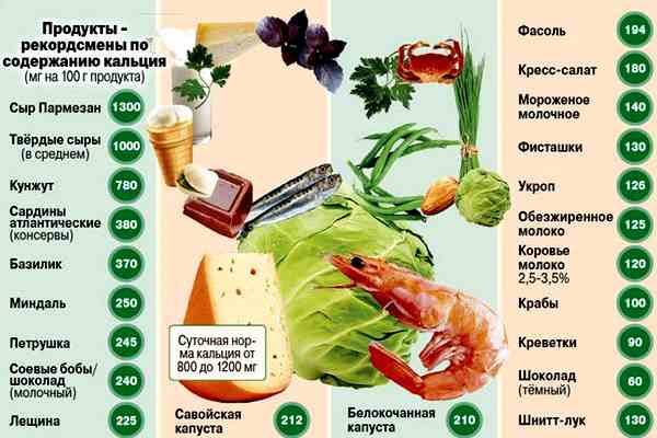 таблица продуктов, богатых кальцием