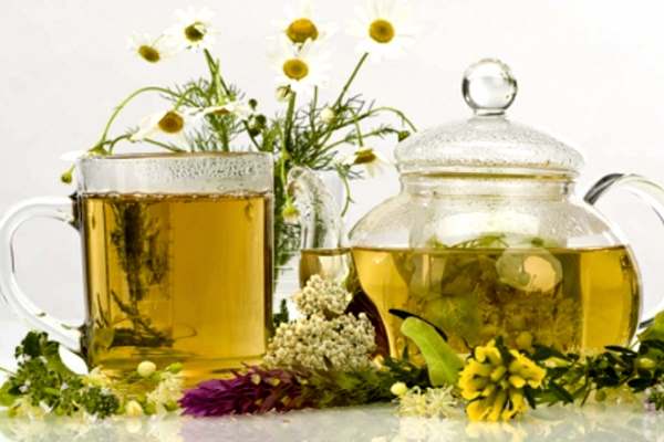 настои трав