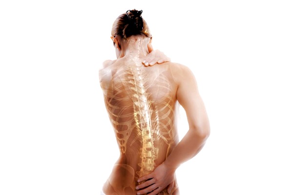 позвоночник у девушки