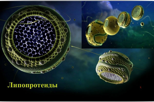 липопротеиды