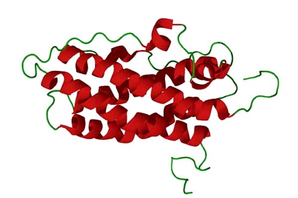 красные спиральные веревочки