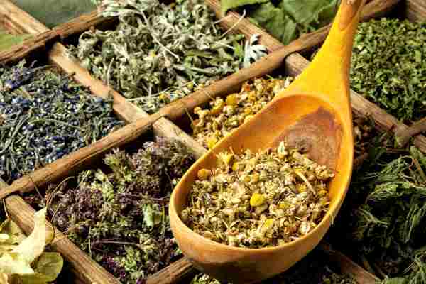 сбор трав и ложка