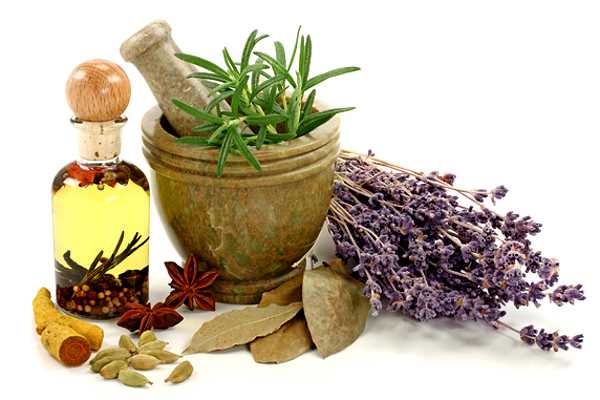 травы, настойка и ступка с пестиком