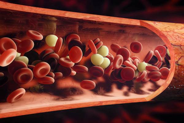 кровяные тельца