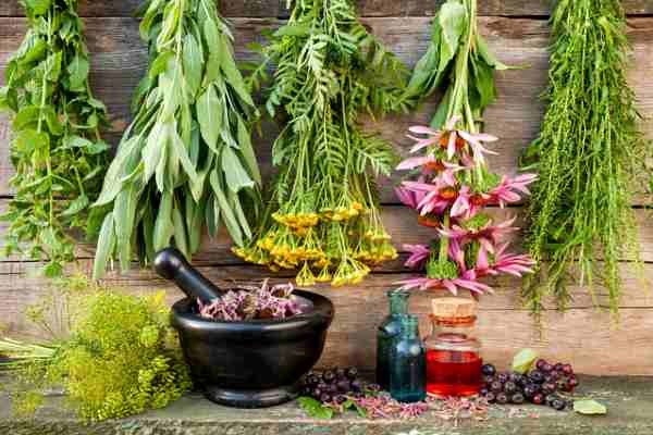 травы сушатся на веревке