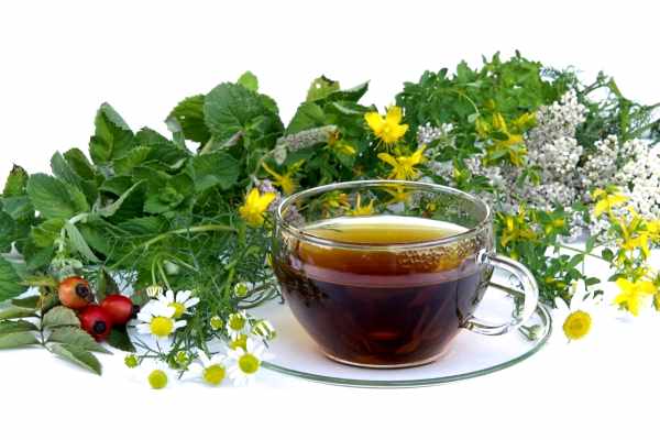 травяной чай