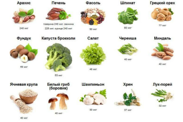 продукты с высоким содержанием витамина В9